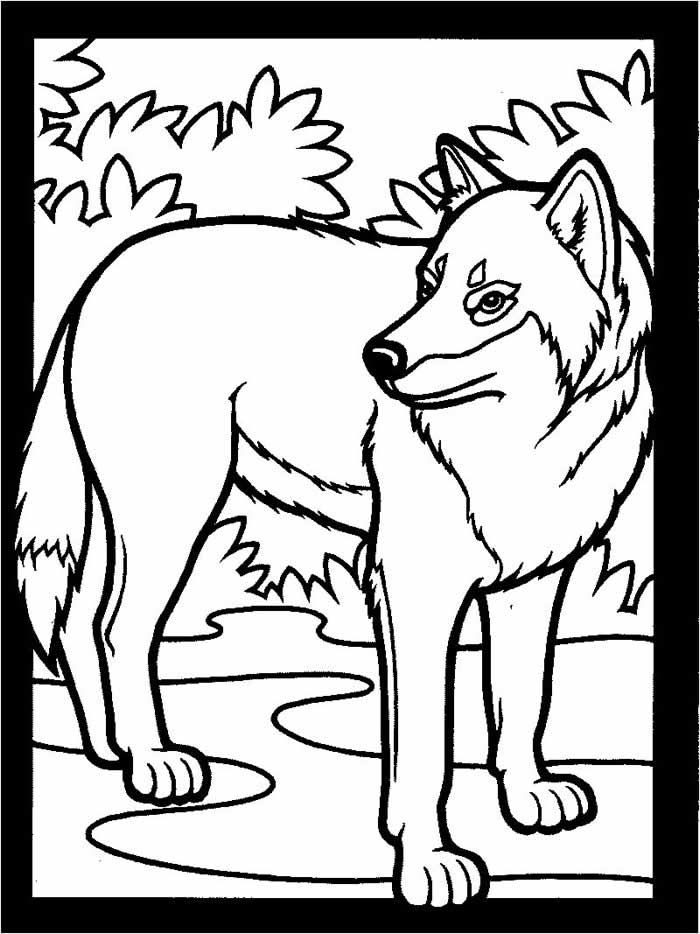 Wolf Coloring Pages wildwolfkids